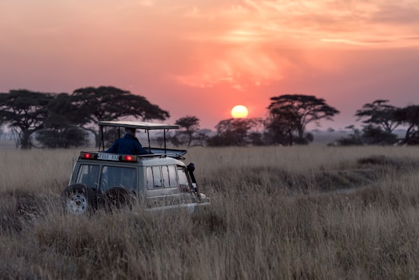 Tanzania safari lodge